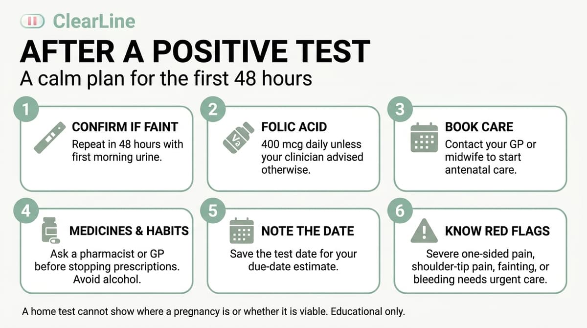 Infographic titled After a Positive Test. Six steps for the first 48 hours: confirm a faint line in 48 hours, take 400 mcg folic acid, book GP or midwife care, check medicines with a pharmacist, note the test date for dating, and seek urgent care for severe pain on one side, pain in the tip of the shoulder, fainting, or soaking bleeding.