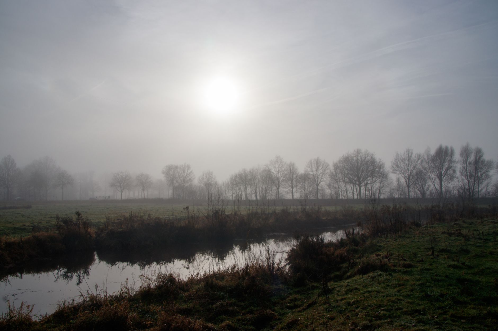 Calm lake mist neutral tones