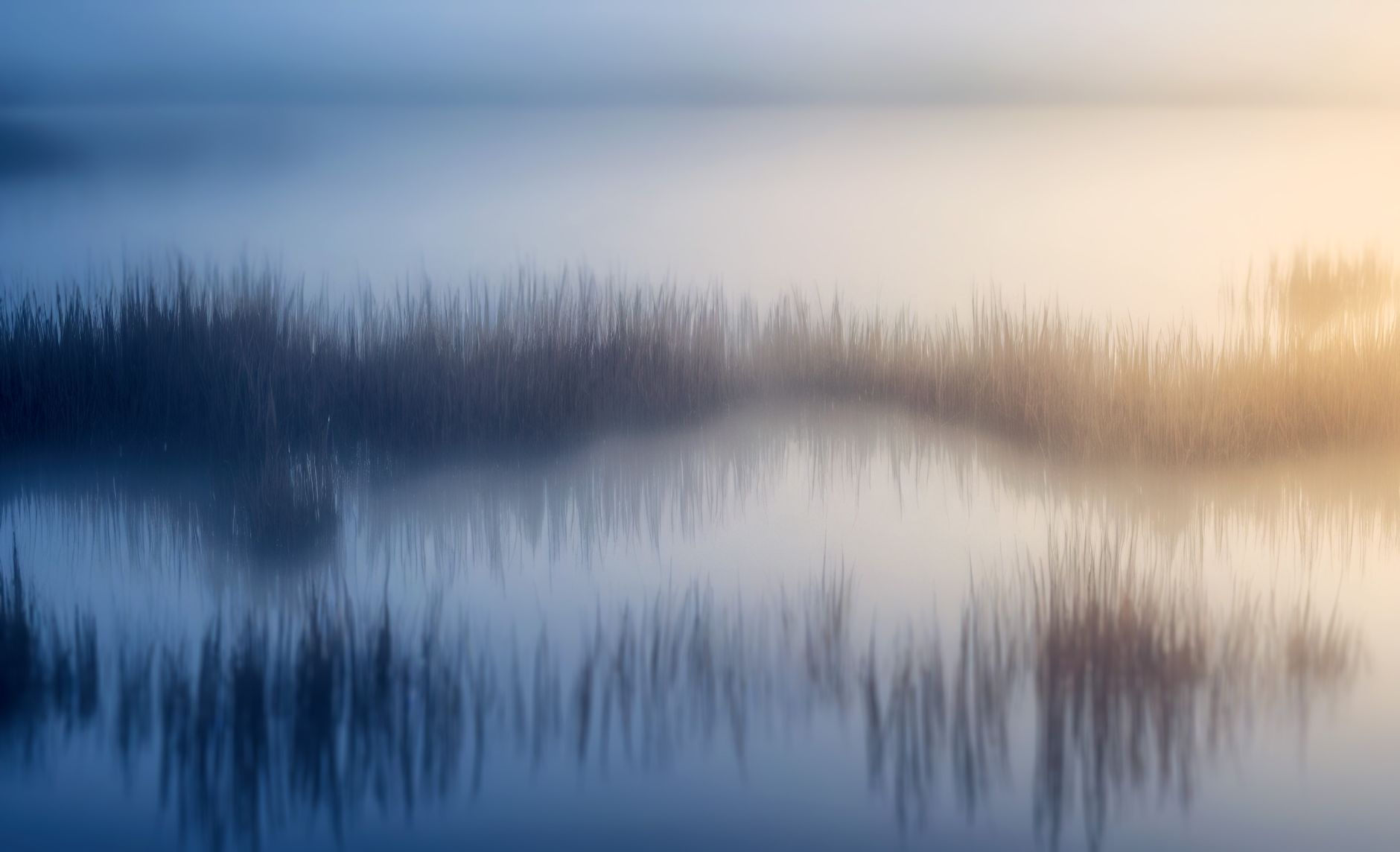 Muted natural scene with gentle neutral light