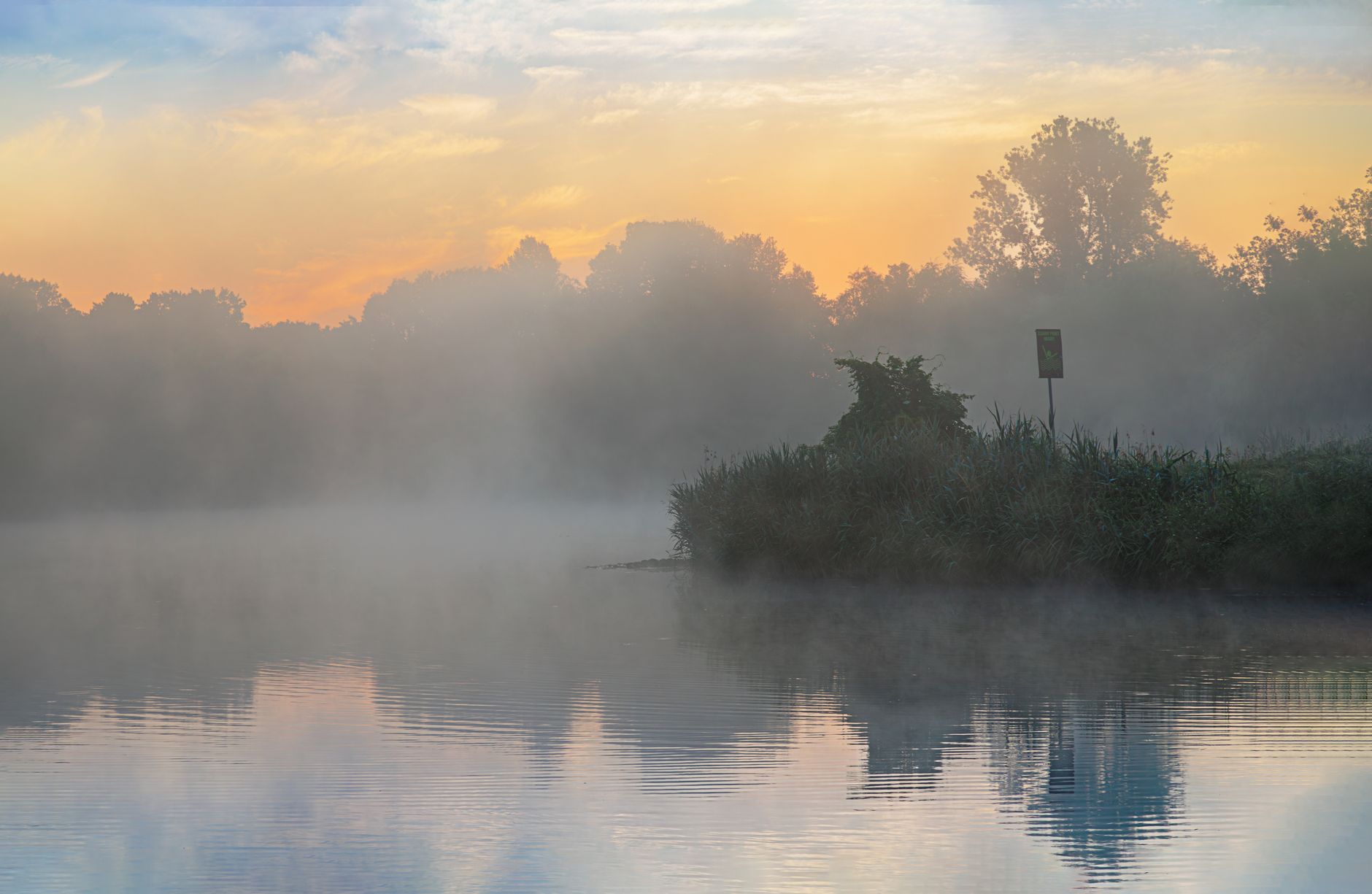 Soft fog muted landscape
