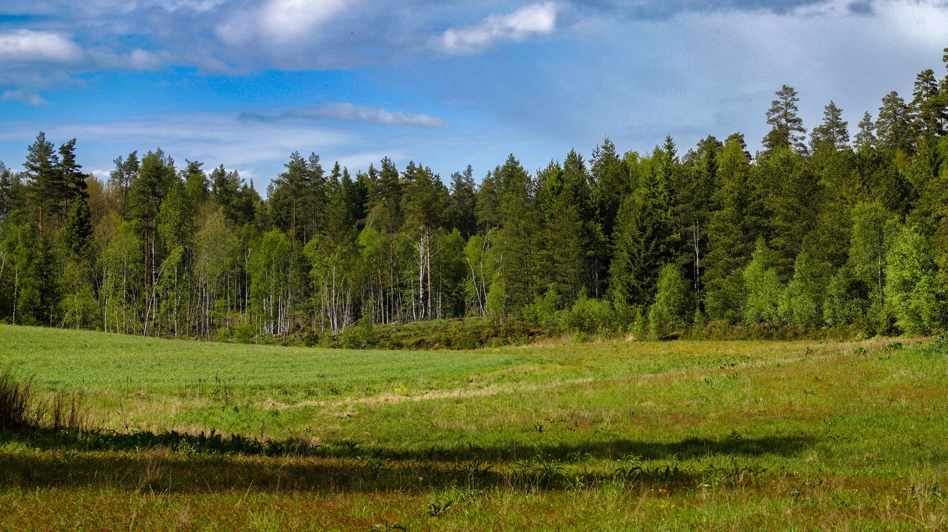Peaceful nature landscape soft light