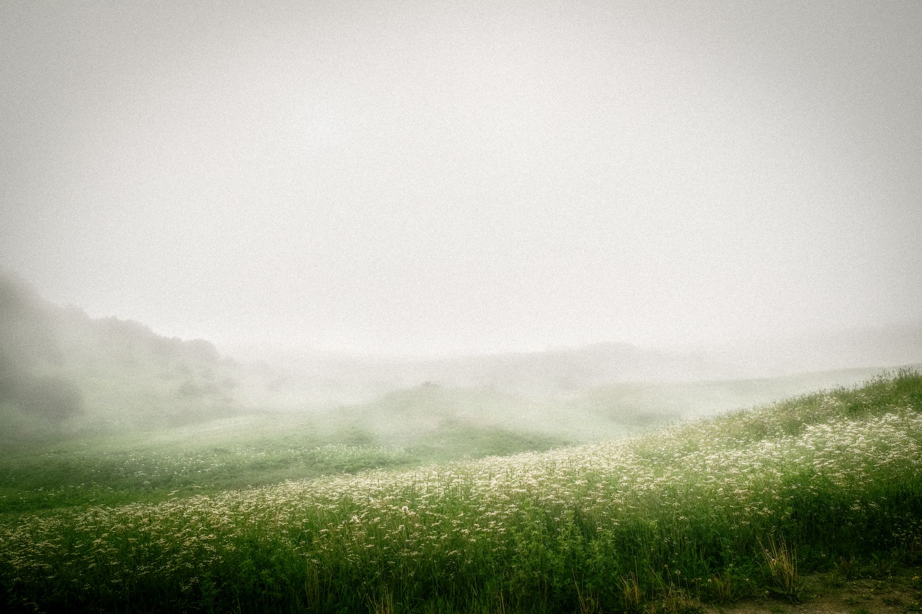 Peaceful nature landscape soft light