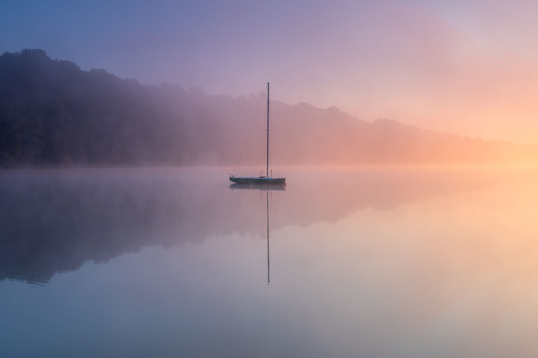 Muted natural scene with gentle neutral light